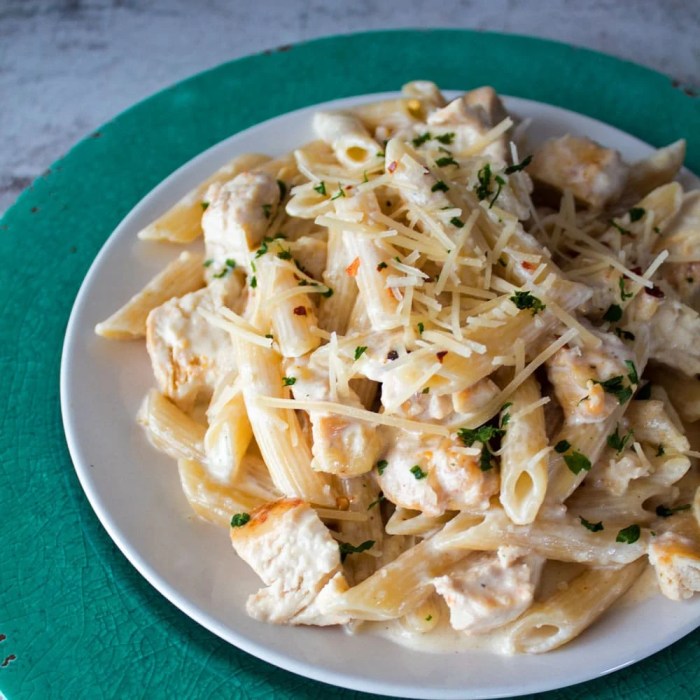 Alfredo chicken recipe