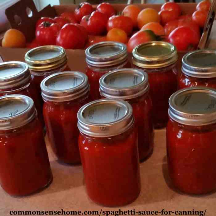 Best spaghetti sauce in a jar recipe