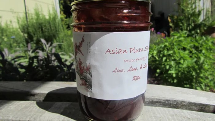 Asian plum sauce recipe canning