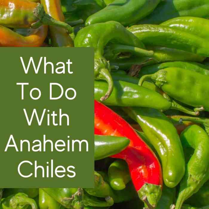 Anaheim pepper hot sauce recipe